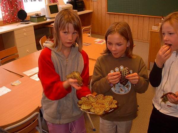Trollvaflar må ein ha på eventyrreisa
