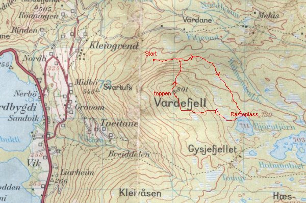 Ruta vår
