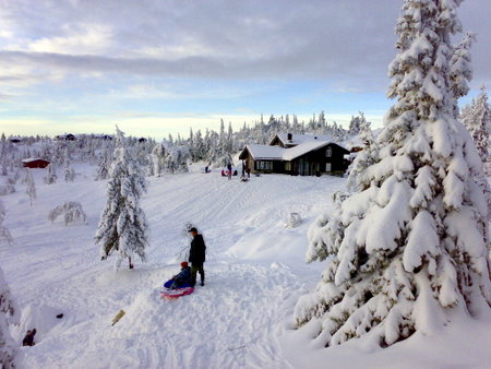 "Kom opp, kom opp frå den tronge dal..." "Kom opp, kom opp frå den tronge dal..."