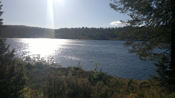 Idyll på Nesheia Idyll på Nesheia