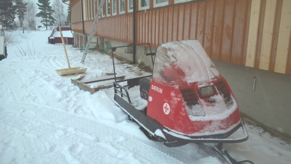 Bamsen vår