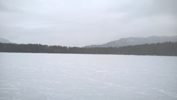 Stålis