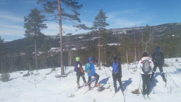 Mellom Langedal og Turisdal