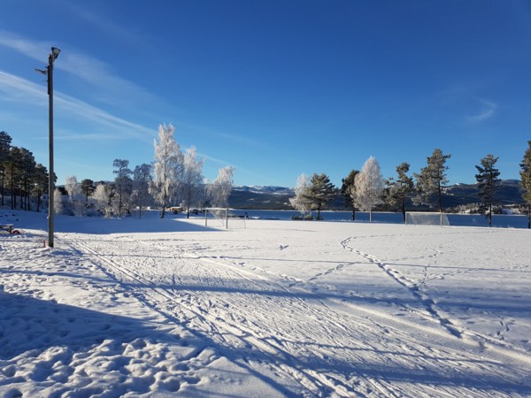 Endeleg vinter