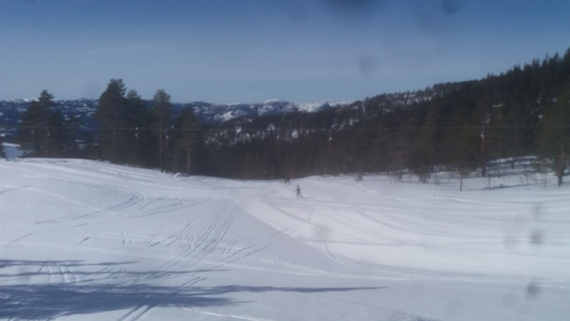 Gøy på landet