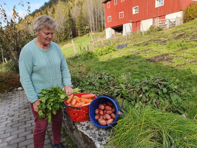 Astrid og grønsakene