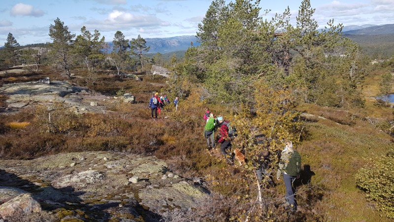 Heimatt vi går