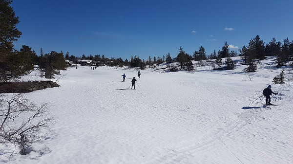 Lettført på skaren