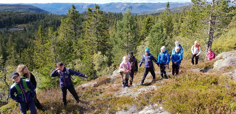 Utsikt mot Fjone