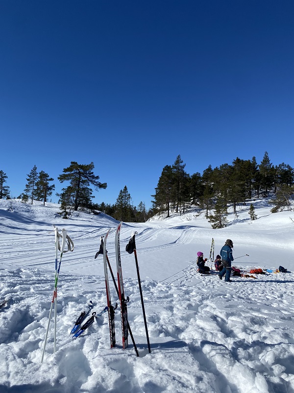 Bålkos