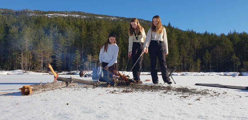 Stokkbål