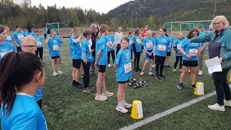 Vekslingsfelt Vekslingsfelt
