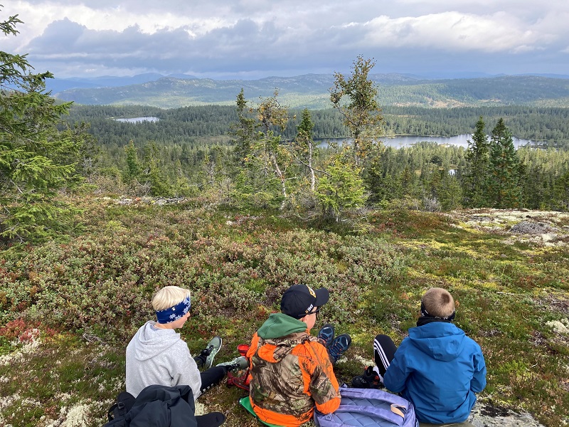 Nyt utsikten Nyt utsikten